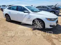 2025 Chevrolet Malibu фото