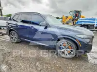 2025 BMW X5 photo