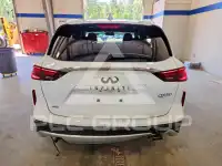 2025 Infinity QX50 фото