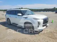 2025 Infinity QX80 photo
