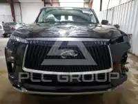 2025 Infinity QX80 photo