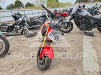 2025 Honda GROM фото