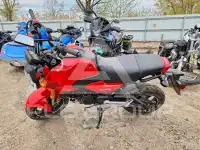 2025 Honda GROM фото