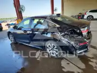 2025 Honda CIVIC photo
