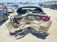 2025 Honda CIVIC photo