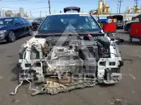 2025 Honda CIVIC фото