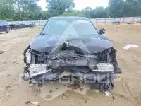2025 Honda CIVIC фото