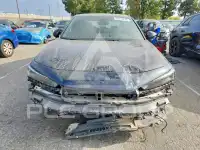 2025 Honda CIVIC фото