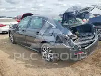 2025 Honda CIVIC фото