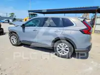 2025 Honda CR-V photo