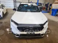 2025 Honda  photo