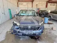 2025 Honda CR-V photo