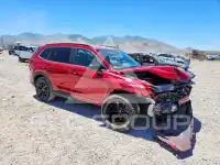 2025 Honda CR-V фото