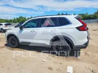 2025 Honda CR-V фото