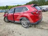2025 Honda CR-V photo