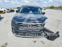 2025 Honda PILOT фото