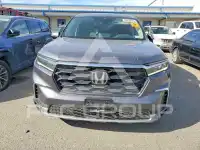 2025 Honda PILOT photo