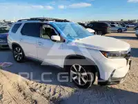 2025 Honda PILOT фото