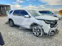 2025 Honda PILOT фото