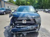 2025 Honda PILOT фото