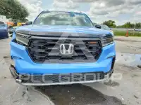 2025 Honda PILOT фото