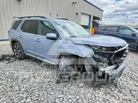 2025 Honda PILOT photo