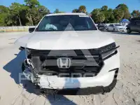 2025 Honda PILOT photo