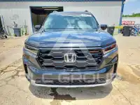 2025 Honda PILOT photo