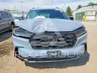 2025 Honda PILOT фото