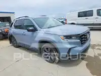 2025 Honda PILOT photo