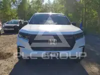 2025 Honda PILOT photo