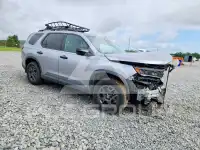 2025 Honda PILOT фото