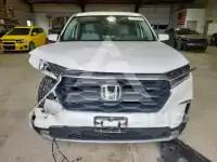 2025 Honda PILOT фото