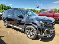 2025 Honda PILOT photo