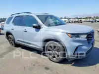 2025 Honda PILOT photo