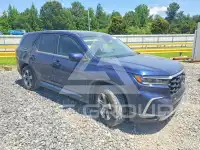 2025 Honda PILOT фото