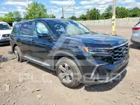 2025 Honda PILOT фото