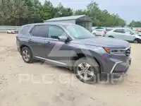 2025 Honda PILOT photo