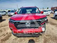 2025 Honda PILOT фото