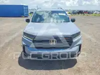 2025 Honda PILOT фото