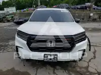 2025 Honda PILOT photo