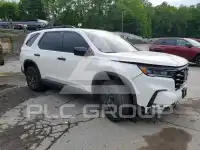 2025 Honda PILOT photo