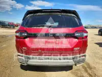 2025 Honda PILOT фото