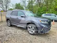 2025 Honda PILOT фото