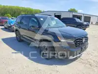 2025 Honda PILOT фото