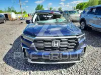 2025 Honda PILOT фото