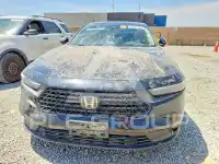 2025 Honda Accord фото