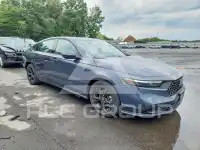 2025 Honda Accord photo