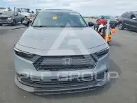 2025 Honda Accord photo