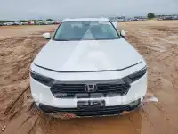 2025 Honda Accord photo